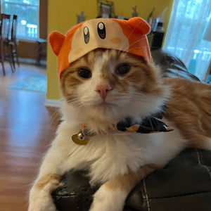 Meet your Posher, Garrett